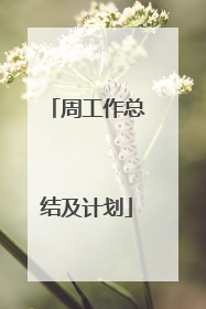 周工作总结及计划