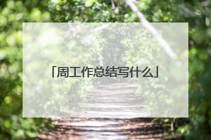 周工作总结写什么