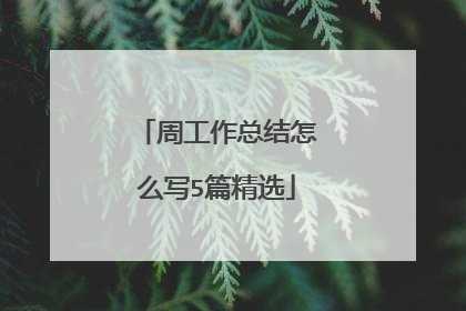 周工作总结怎么写5篇精选