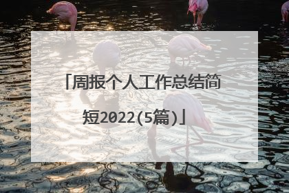 周报个人工作总结简短2022(5篇)