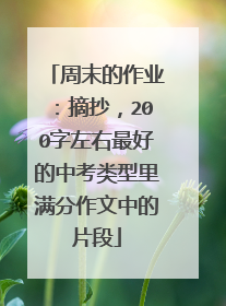 周末的作业：摘抄，200字左右最好的中考类型里满分作文中的片段