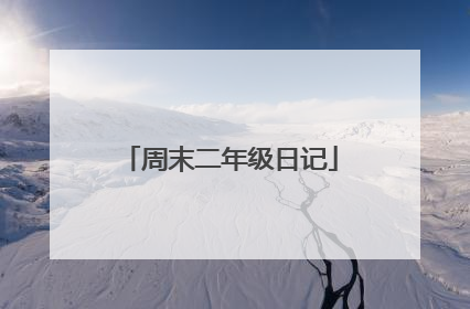 周末二年级日记