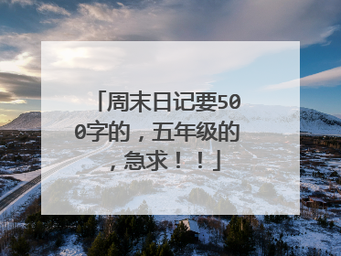周末日记要500字的,五年级的,急求!!