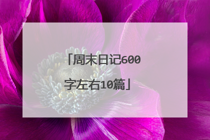 周末日记600字左右10篇