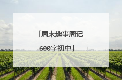 周末趣事周记600字初中