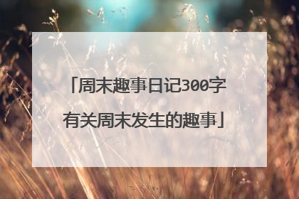 周末趣事日记300字 有关周末发生的趣事