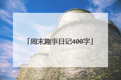 周末趣事日记400字