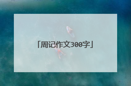 周记作文300字