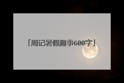 周记暑假趣事600字