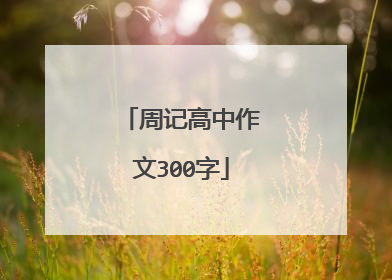 周记高中作文300字