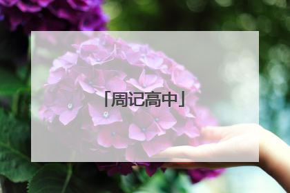 周记高中