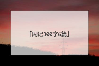 周记300字6篇