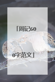 周记600字范文