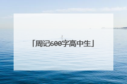 周记600字高中生