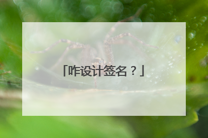咋设计签名？