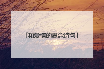 和爱情的思念诗句