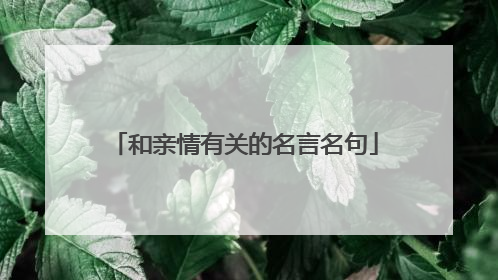 和亲情有关的名言名句