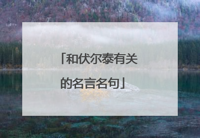 和伏尔泰有关的名言名句
