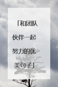 和团队伙伴一起努力的优美句子