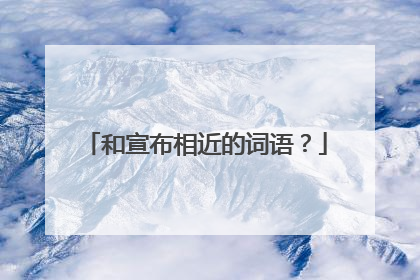 和宣布相近的词语?