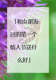 和女朋友过的第一个情人节送什么好