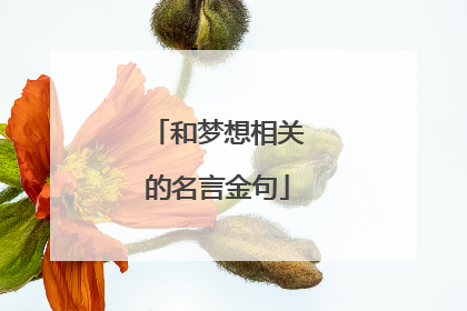 和梦想相关的名言金句