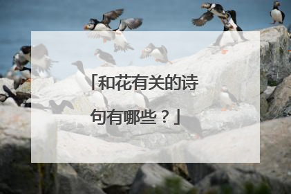 和花有关的诗句有哪些？