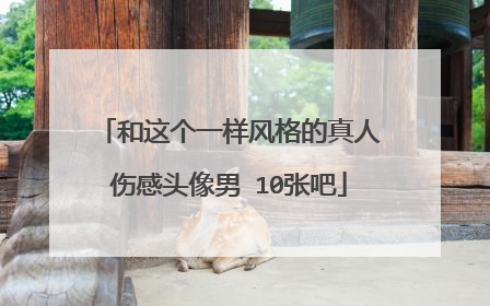 和这个一样风格的真人伤感头像男 10张吧