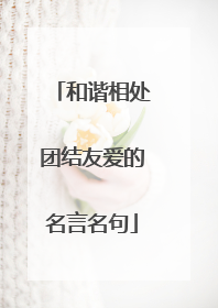 和谐相处团结友爱的名言名句