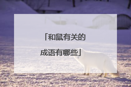 和鼠有关的成语有哪些