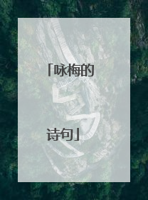 咏梅的诗句