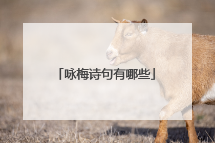 咏梅诗句有哪些