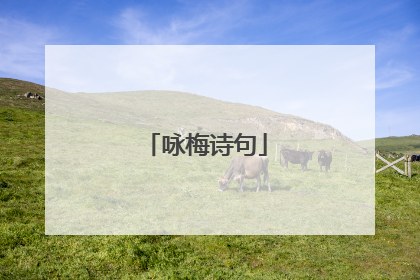 咏梅诗句