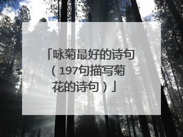 咏菊最好的诗句(197句描写菊花的诗句)