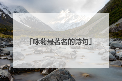 咏菊最著名的诗句