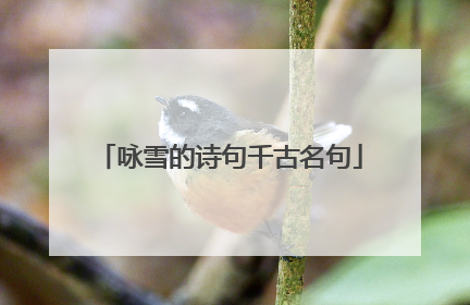咏雪的诗句千古名句