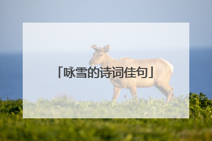 咏雪的诗词佳句