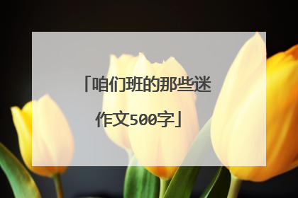 咱们班的那些迷作文500字