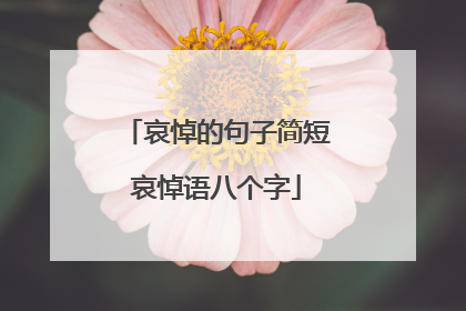 哀悼的句子简短哀悼语八个字
