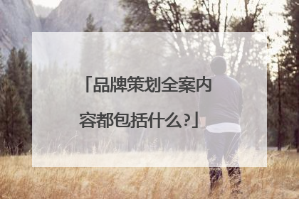 品牌策划全案内容都包括什么?