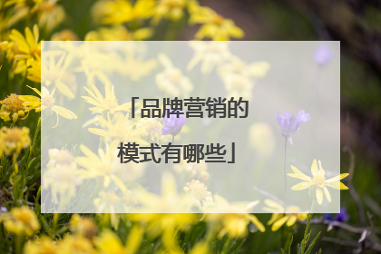 品牌营销的模式有哪些