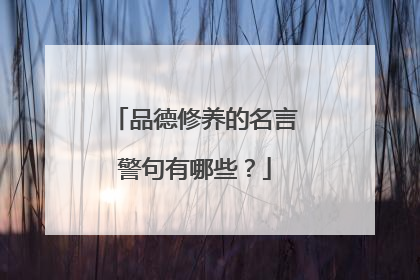 品德修养的名言警句有哪些?
