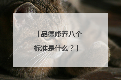 品德修养八个标准是什么?