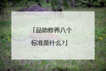 品德修养八个标准是什么?