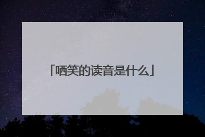 哂笑的读音是什么