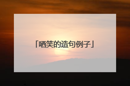 哂笑的造句例子