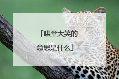 哄堂大笑的意思是什么