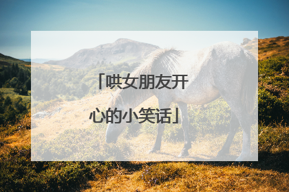 哄女朋友开心的小笑话
