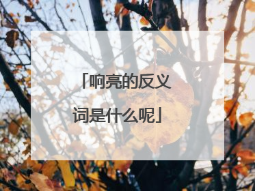 响亮的反义词是什么呢