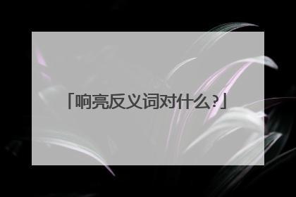 响亮反义词对什么?